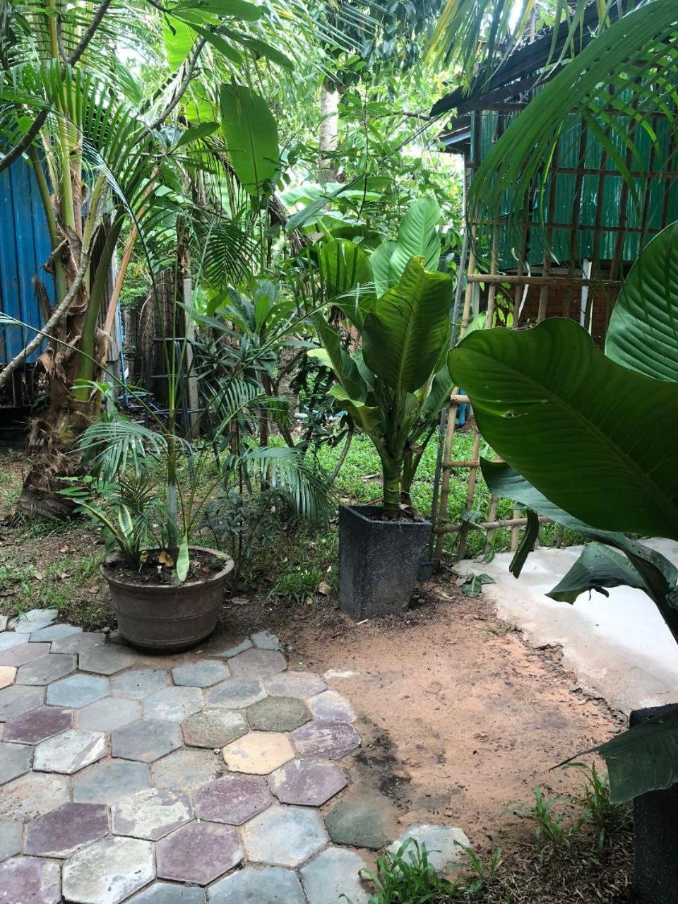 Sok Phen Homestay 시엠리아프 외부 사진