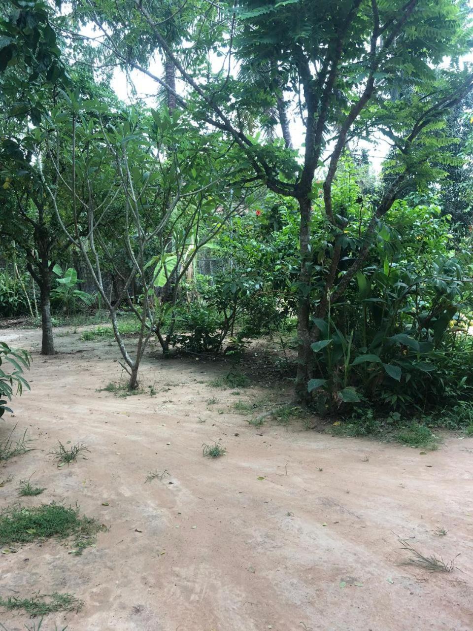 Sok Phen Homestay 시엠리아프 외부 사진
