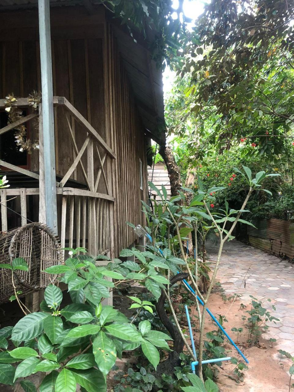 Sok Phen Homestay 시엠리아프 외부 사진