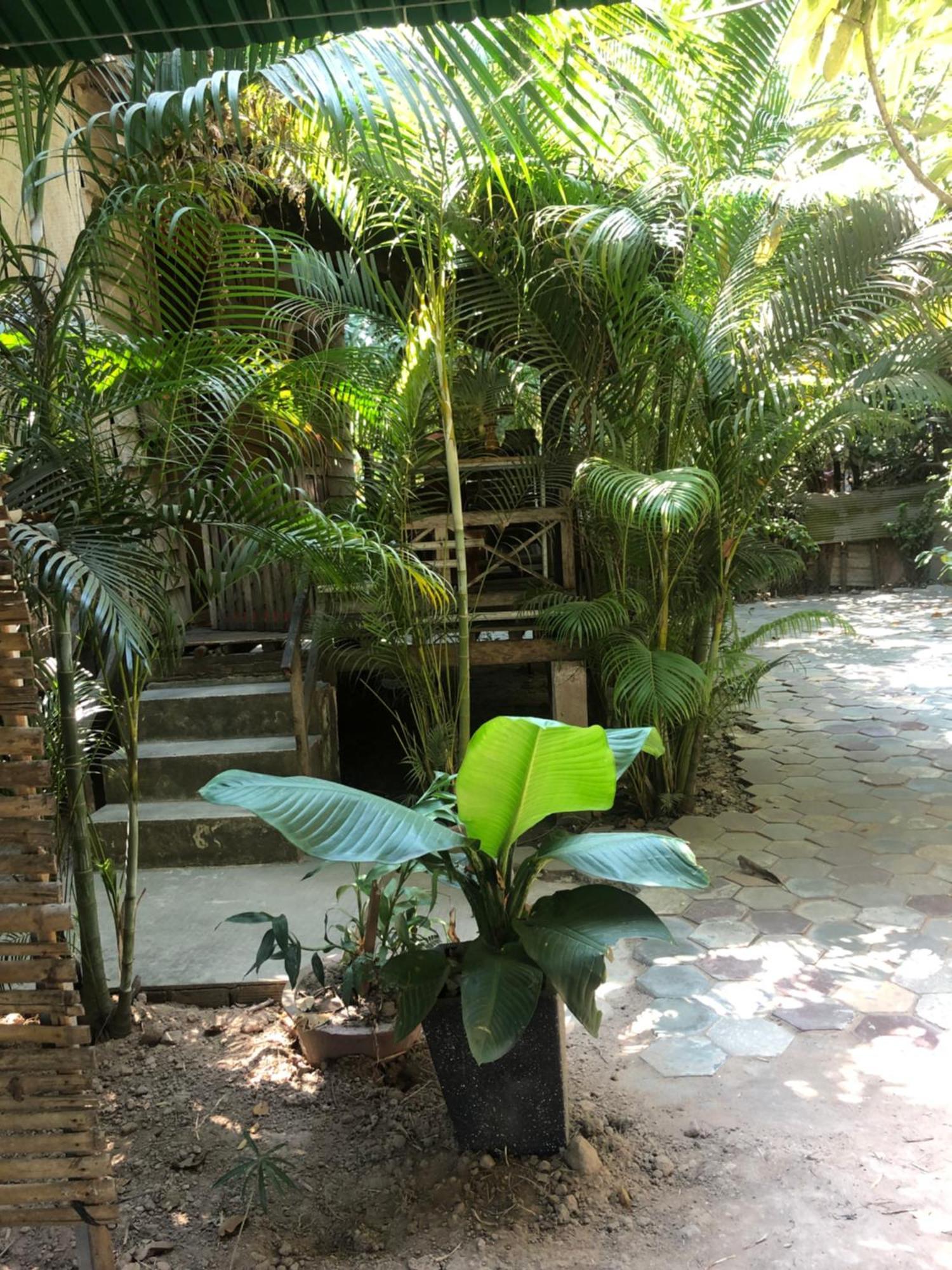 Sok Phen Homestay 시엠리아프 외부 사진