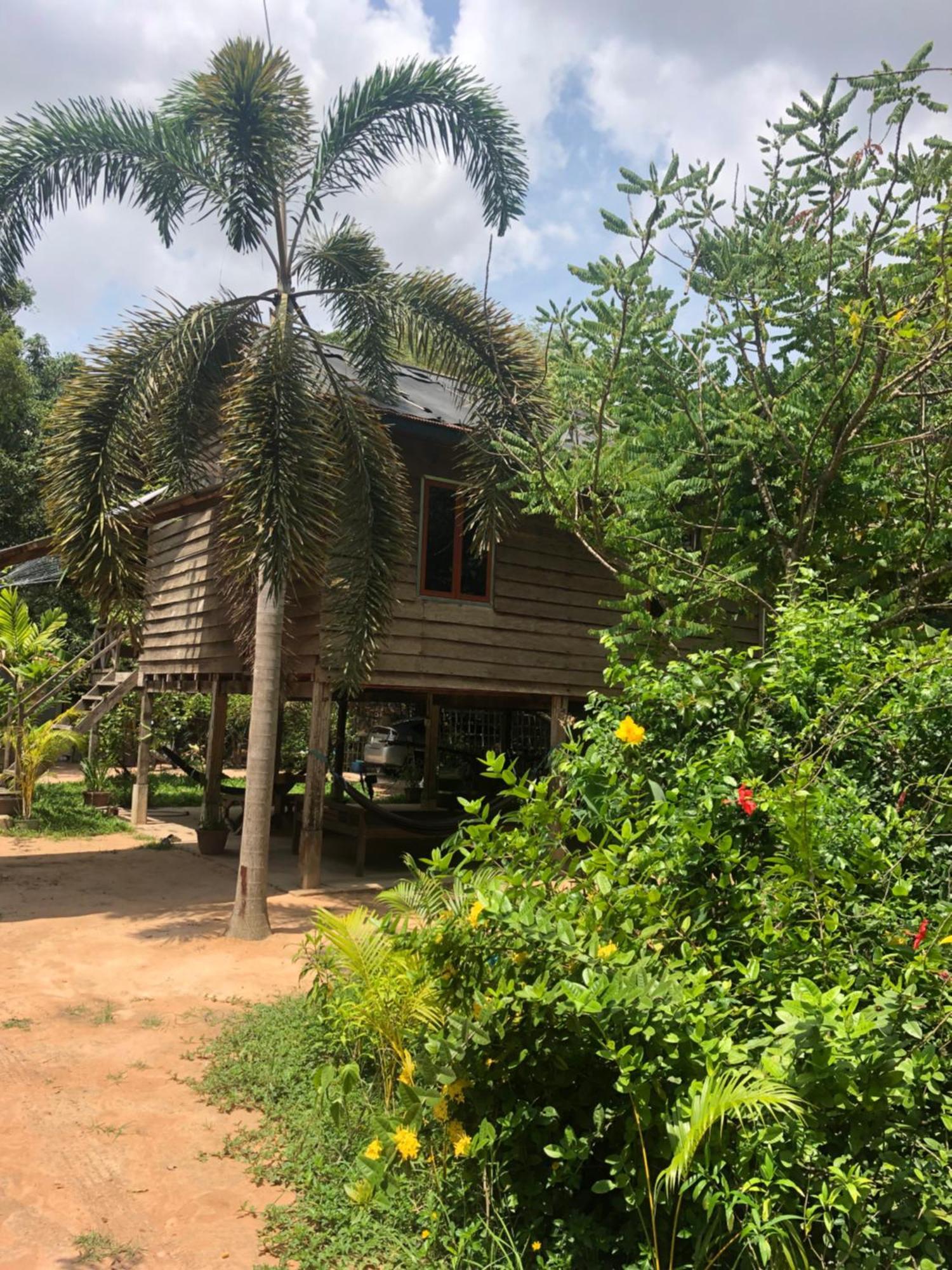Sok Phen Homestay 시엠리아프 외부 사진
