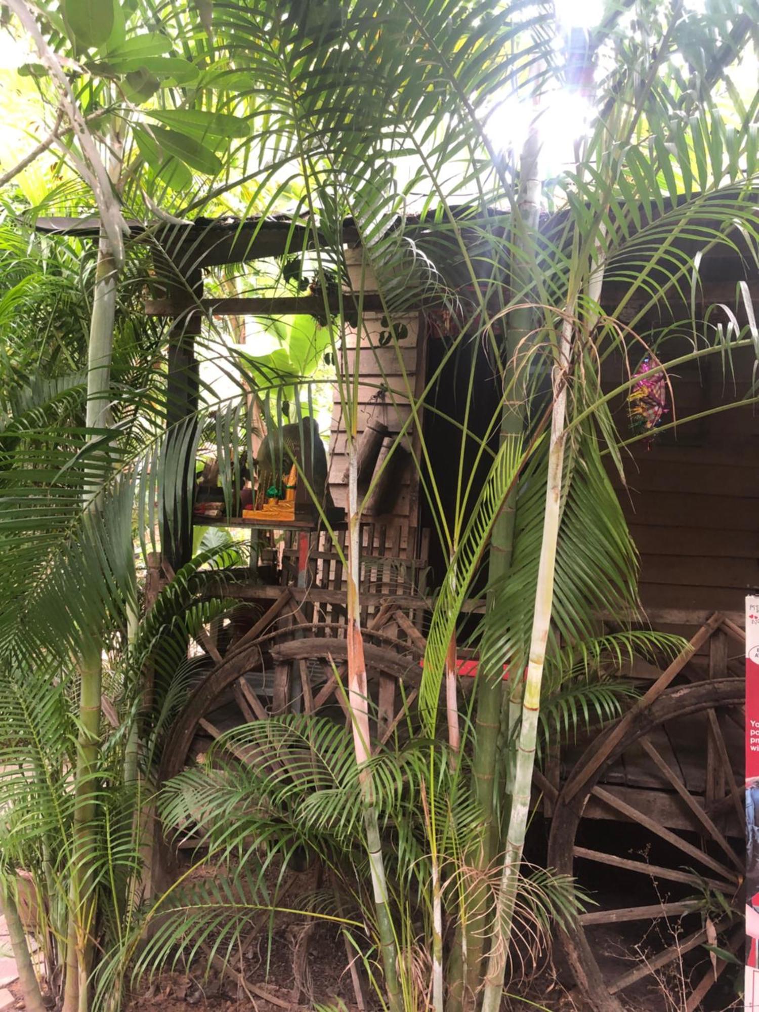 Sok Phen Homestay 시엠리아프 외부 사진